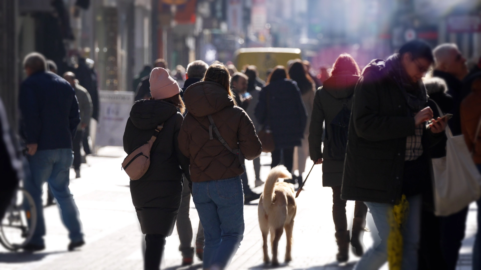 Menschen und ein Hund in der Fußgängerzone einer Stadt.